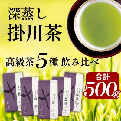 ふるさと納税 掛川市 高級茶5種 飲み比べセット 計500g  深蒸し掛川茶 日本茶きみくら【5899】