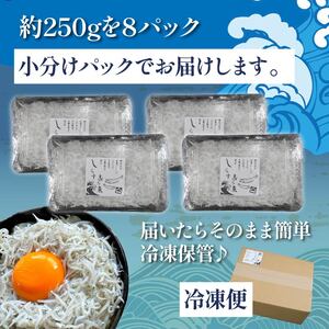 釜揚げ しらす 約2kg  【 しらす 】