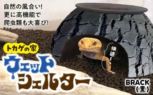 トカゲの家 ウェットシェルター 黒 爬虫類 | ペット トカゲ とかげ ペット用品 爬虫類用 シェルター 隠れ家 飼育用品 家 カビ抑制 観察 陶器 おしゃれ おうち デザイン 飼育 黒地 レオパードゲッコー レオパ フトアゴ イモリ カエル ヘビ 脱皮 作家 アーティスト ギフト 作品 手仕事 陶芸家 インテリア オブジェ 自然 ナチュラル ブラック black セキグチタカヒト 埼玉県 北本市