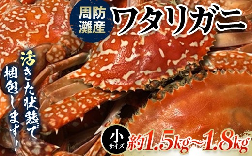 
                  【期間・数量限定】《時間指定不可》 活きたまま発送！周防灘産ワタリガニ（小） 約1.5kg～1.8kg F6L-1460
                