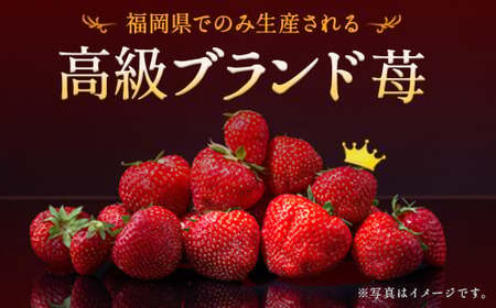 【3回定期便】いちご「あまおう」 約270g×4パック 合計 約3,240g【2026年1月上旬順次発送開始予定】
