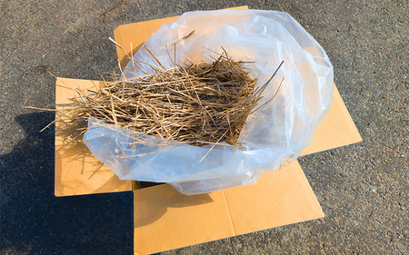 岩美町産コシヒカリの稲わら （粉砕タイプ）４kg｜鳥取 岩美 稲わら わら 藁 家庭菜園 先行予約 お届けは2026年10月～【34007】