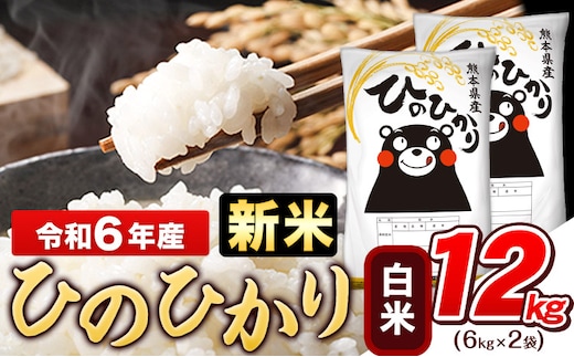 
										
										令和6年産 新米 早期先行予約受付中 ひのひかり 白米 12kg (6kg×2袋)《11月-12月頃出荷》熊本県産 ひの 白米 精米 米 こめ ヒノヒカリ コメ お米 おこめ---gkt_hn6_af11_24_21500_12kg_h---
									