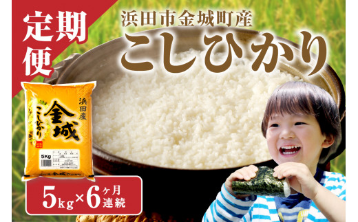 【令和7年産】【定期便】浜田市金城町産こしひかり（5kg×6回） 定期便 5キロ 5kg 6回 こしひかり お取り寄せ 特産 米 お米 精米 白米 玄米 ごはん ご飯 コメ 一等米 【058_1855】