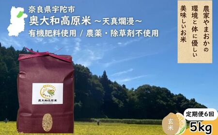【定期便6回】天真爛漫 奥大和高原米 ＜令和7年産 玄米 5kg＞ ／ ふるさと納税 無農薬 米 お米 こめ コメ 国産 新米 玄米 一等米 農家やまおか 有機肥料使用 農薬不使用 除草剤不使用 奈良県 宇陀市