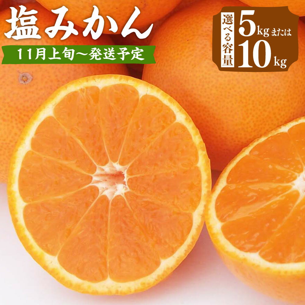 【ふるさと納税】＜選べる内容量＞ 福岡県 山川産 塩みかん 5kg または 10kg みかん ミカン 蜜柑 柑橘 フルーツ 果物 高糖度 国産 福岡県産 みやま市 九州 予約 送料無料 A157 A158 【2025年11月上旬～12月下旬発送予定】