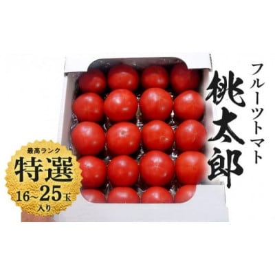 【先行受付2027年発送】美味しんぼに登場　トマト「桃太郎」大箱 16玉～25玉　特選　糖度9度以上【配送不可地域：離島・沖縄県】