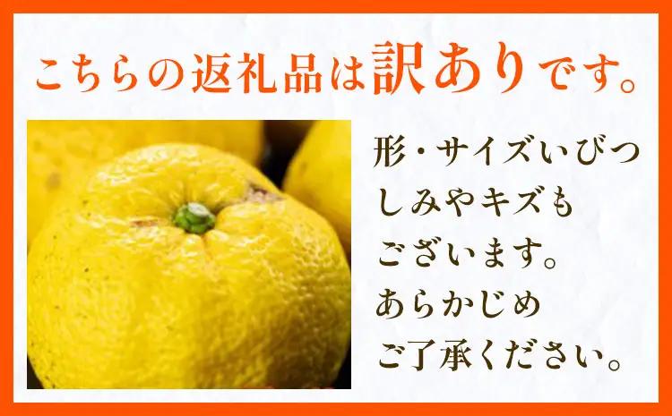 ゆず 訳あり 柚子 約3kg ゆず