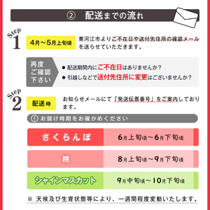 【先行予約】令和8年産 フルーツ 3回 定期便 さくらんぼ（佐藤錦） 桃 シャインマスカット 秀品 山形県産【2026年6月上旬頃から発送開始予定】※配送不可 沖縄・離島　048-B-RF009