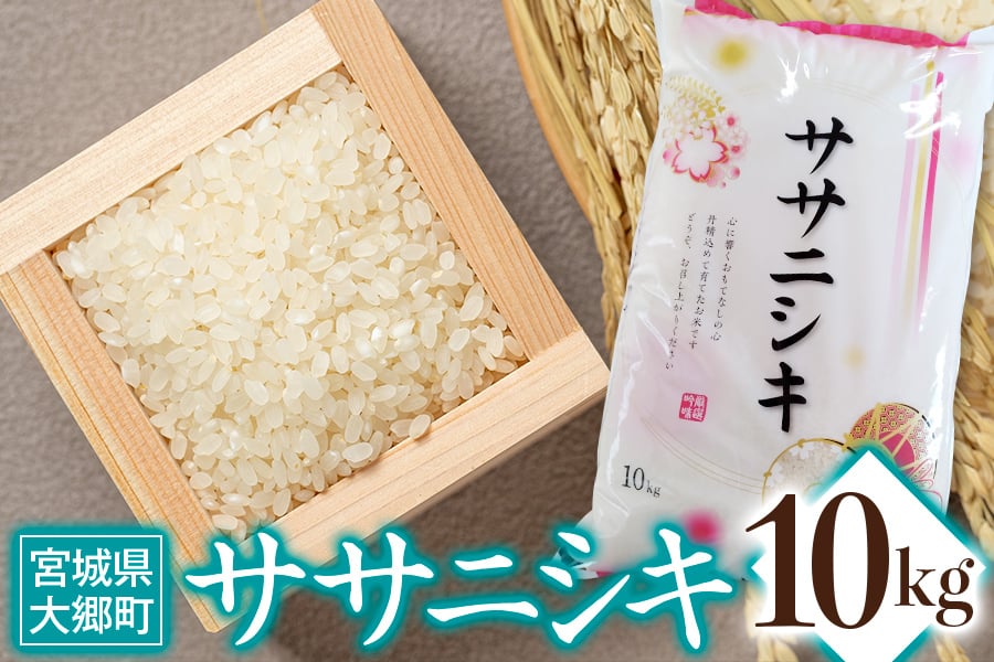 
令和6年産 ササニシキ 10kg｜2024年 宮城産 大郷町 白米 米 コメ 精米 [0209]
