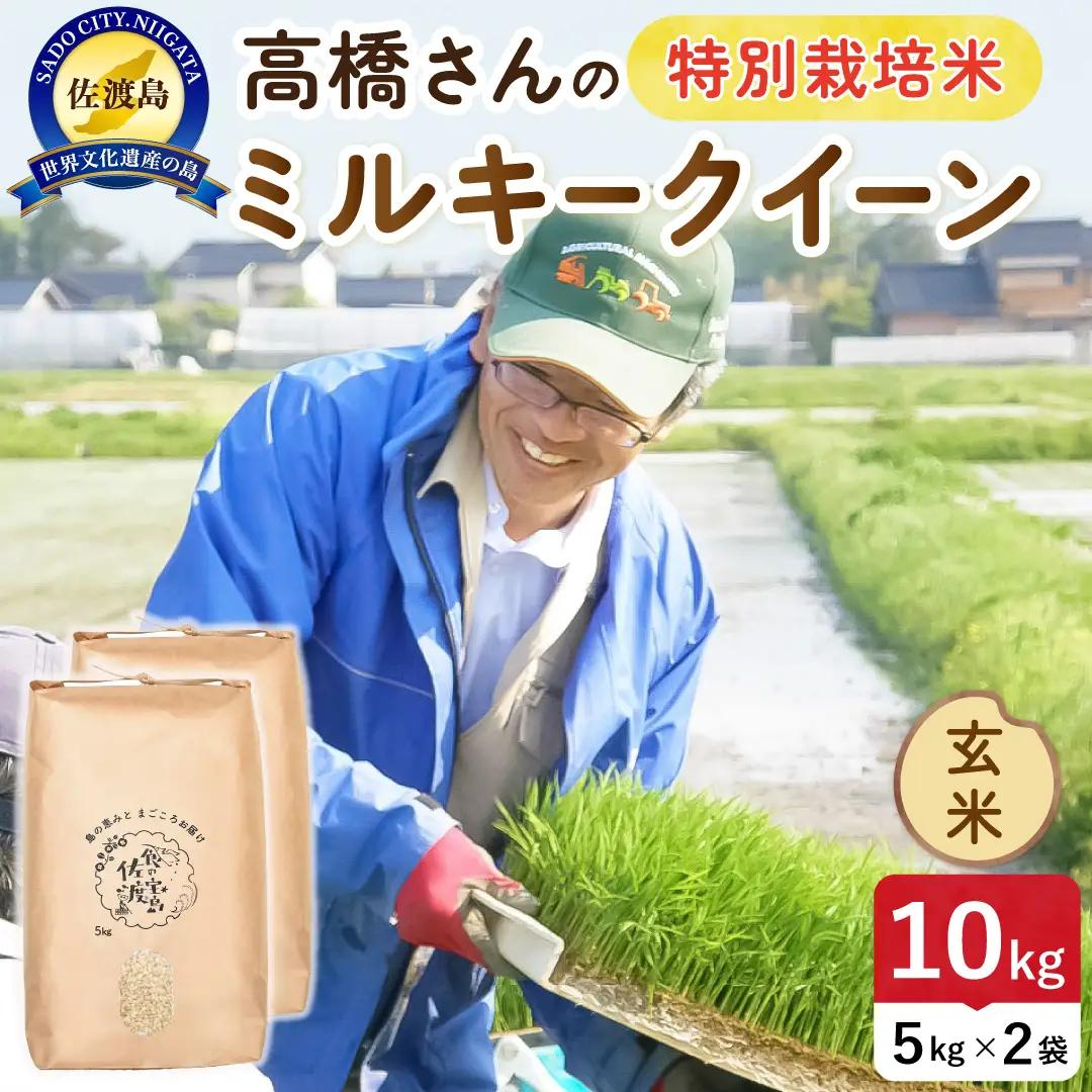令和8年産 佐渡島産ミルキークイーン 玄米10kg 特別栽培米