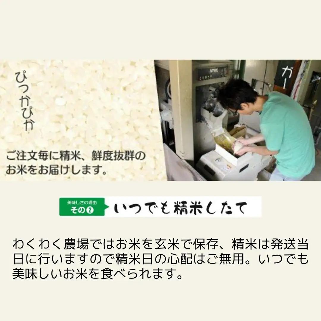 【先行予約】令和8年産 コシヒカリ5kg×1袋 新之助5kg×1袋 わくわく農場 | コシヒカリ 白米 米 新潟県産 五泉市