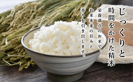 【予約】令和7年産　お米　コシヒカリ　丹波篠山産　じっくり精米20kg (5kgx4袋) | 兵庫県 丹波篠山市 白米 100％単一原料米 産地直送米 贈答 おいしい お米 精米 コシヒカリ ブランド