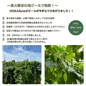 イズミ002（いずみおおつ） クラフト ビール ペールエール 330ml×3本 | 地ビール 贅沢 ビール ギフト 酒 お酒 ご当地ビール ※離島への配送不可