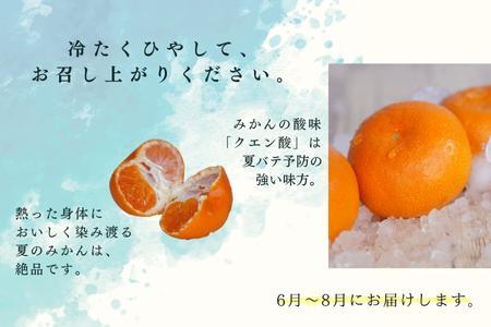 『予約受付』【令和6年6月上旬発送】夏の極上ハウスみかん「夏織」1.3kg  贈答箱・ギフトボックス入り ~海と空と、みかん~ 甘くてとろける夏の果物に ミカン フルーツ 柑橘