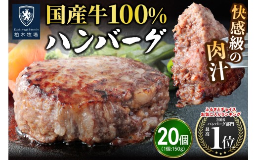 柏木牧場特製 国産牛100%ハンバーグ (150g×20個)｜国産 ハンバーグ 冷凍 グルメ ギフト お惣菜 惣菜 [0760]