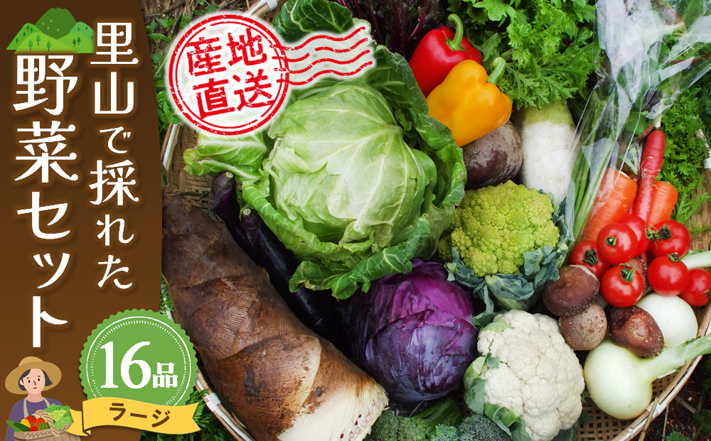 
里山で採れた野菜セットラージ 16品 【有機野菜 おまかせ野菜セット イタリア野菜 西洋野菜】(H078109)
