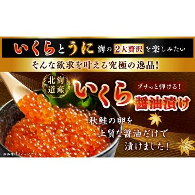 ふるさと納税 釧路市 えぞバフンうに折150g×1 いくら醤油漬け90g×1 北海道 釧路 F4F-8830 |  | 01
