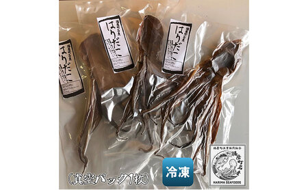 播磨町産 はりだこ(ほしだこ)１匹 タコ 海鮮 魚介類 瀬戸内 兵庫県 播磨町