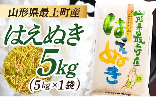 
            【令和6年産】山形県産 はえぬき 5㎏  (5㎏×1袋)
          