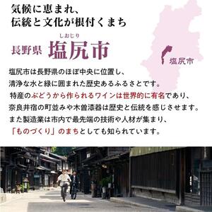 塩尻産 スパークリングワイン 3本セットA
