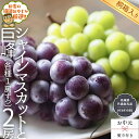 【ふるさと納税】【 お中元 熨斗 付 】【 桐箱入 り】 シャインマスカット と 巨峰 （各種1房ずつ） 【令和6年8月より発送開始】 （県内共通返礼品：かすみがうら市産） シャインマスカット 巨峰 ぶどう 果物 フルーツ 季節 旬