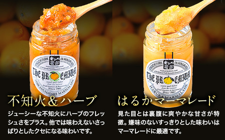阿蘇 木之内農園 プレミアムシリーズ 5本セット 1本 150g×5 いちご ブルーベリー 不知火マーマレード はるかマーマレード 不知火ハーブマーマレード《30日以内に出荷予定(土日祝を除く)》 熊