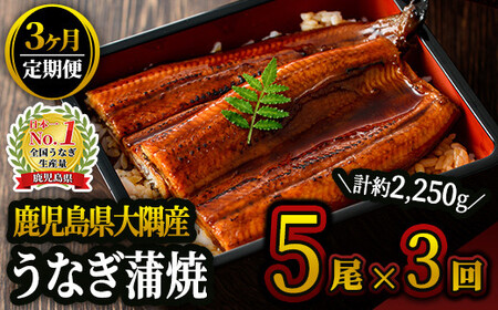 2082-1 鹿児島県大隅産うなぎ蒲焼5尾（750g） 【3ヶ月定期】 KN007-T04 うなぎ ウナギ 鰻 うなぎ蒲焼 鰻蒲焼き ウナギ蒲焼 惣菜 総菜 定期便 定期 魚類 魚貝類 魚介類 海産物 鰻重 うな重 ひつまぶし 鰻丼 土用の丑 魚 冷凍 大隅地区養まん漁業協同組合 ふるさと納税 鹿児島 鹿屋市 おすすめ ランキング プレゼント ギフト