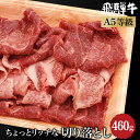 【ふるさと納税】A5等級 飛騨牛 ちょっとリッチな 切り落とし 460g( 飛騨牛もも / 肩肉 ) 飛騨高山 肉の朝日屋 ブランド牛 和牛 牛丼 すき焼き TR4222