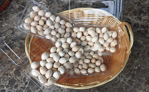 2025年産 山形県産 銀杏 殻付き L 約1kg（200g×5パック） 2025年10月中旬から順次発送 ぎんなん おつまみ 真空パック 個包装 小分け 秋 野菜 F20A-730