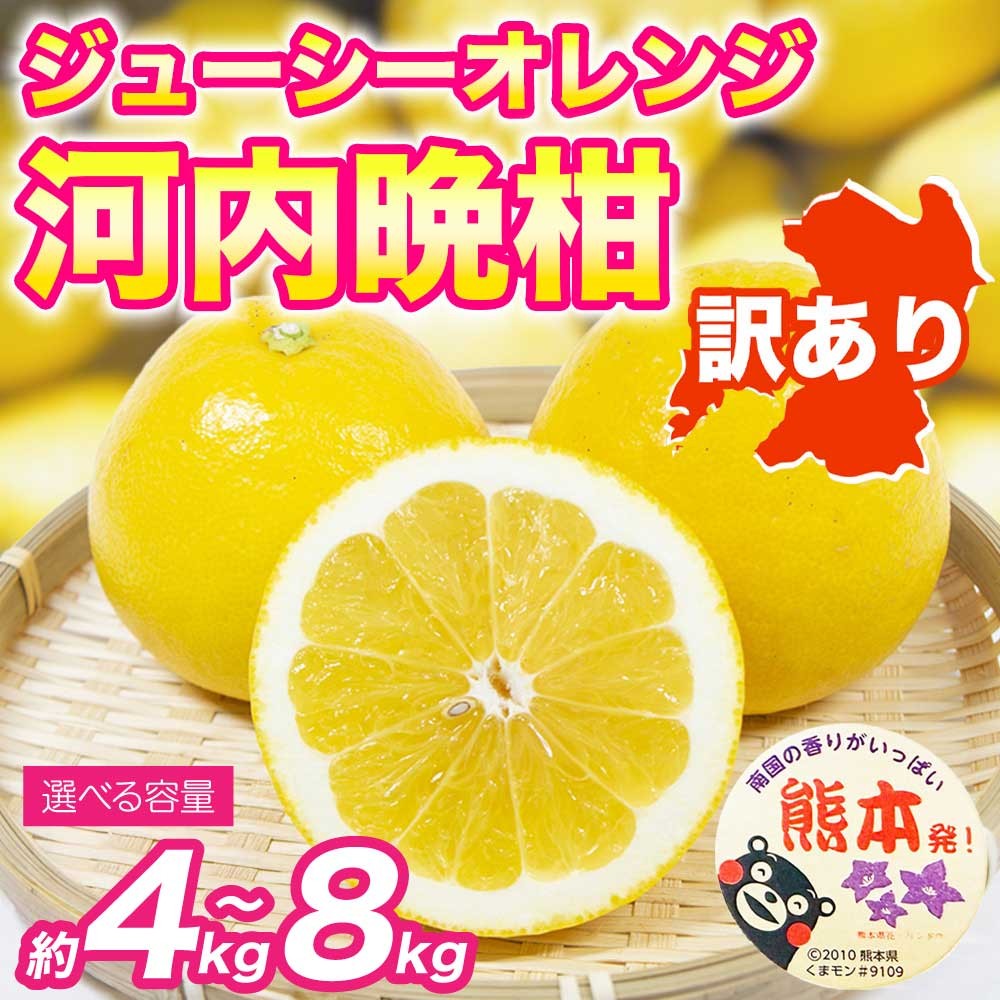 
                  先行予約 訳あり 河内晩柑 ジューシーオレンジ みかん 選べる容量 約4kg 約8kg【2027年3月上旬～4月中旬発送予定】かわちばんかん 果物 フルーツ くだもの 柑橘 柑橘類 フルーツ 国産 熊本 熊本県 九州 産地直送 日本フルーツ
                