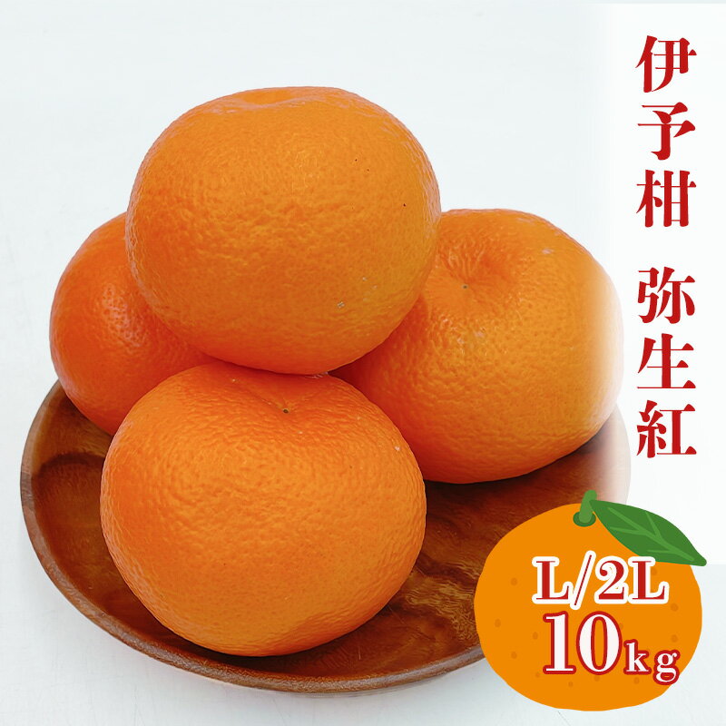 【ふるさと納税】 愛媛県産 伊予柑（弥生紅） L～2Lサイズ 10kg