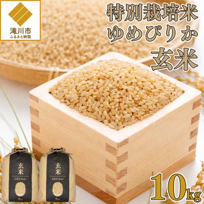 ふるさと納税 滝川市 【特別栽培米】令和7年産 滝川産ゆめぴりか【玄米】10kg  特A ブランド米 北海道