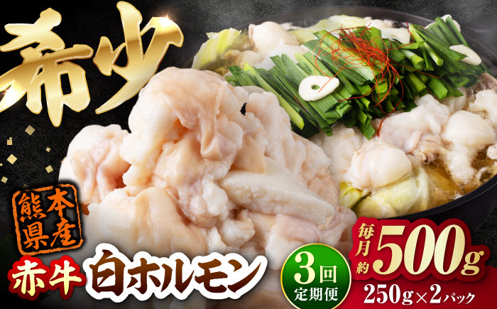 
                  【全3回定期便】 赤牛 ホルモン 500g（250g×2パック） / お肉 肉 牛肉 あか牛 小腸 シロホルモン もつ 熊本県産 冷凍【五右衛門フーズ熊本店】 和牛 赤牛 褐毛和種 ホルモン モツ モツ鍋 もつ鍋 鍋 焼き肉 焼肉 定期便 定期便3回 冷凍 国産 熊本 熊本県 肥後 熊本県産 [AYBV007]
                