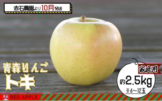 りんご 【 10月発送 】 家庭用 トキ 約 2.5kg 【 弘前市産 青森りんご 】 果物 フルーツ 食後 デザート 早生りんご ジューシー シャキシャキ 濃厚な甘み
