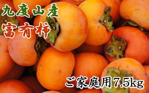 
                   ≪柿の名産地≫九度山の富有柿約7.5kgご家庭用 【tec413A】
                