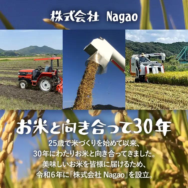 米 無洗米 令和8年産 夢つくし 10kg 米
