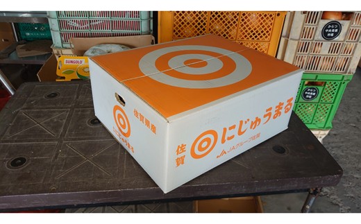 佐賀県産にじゅうまる 5kg 226-B1020