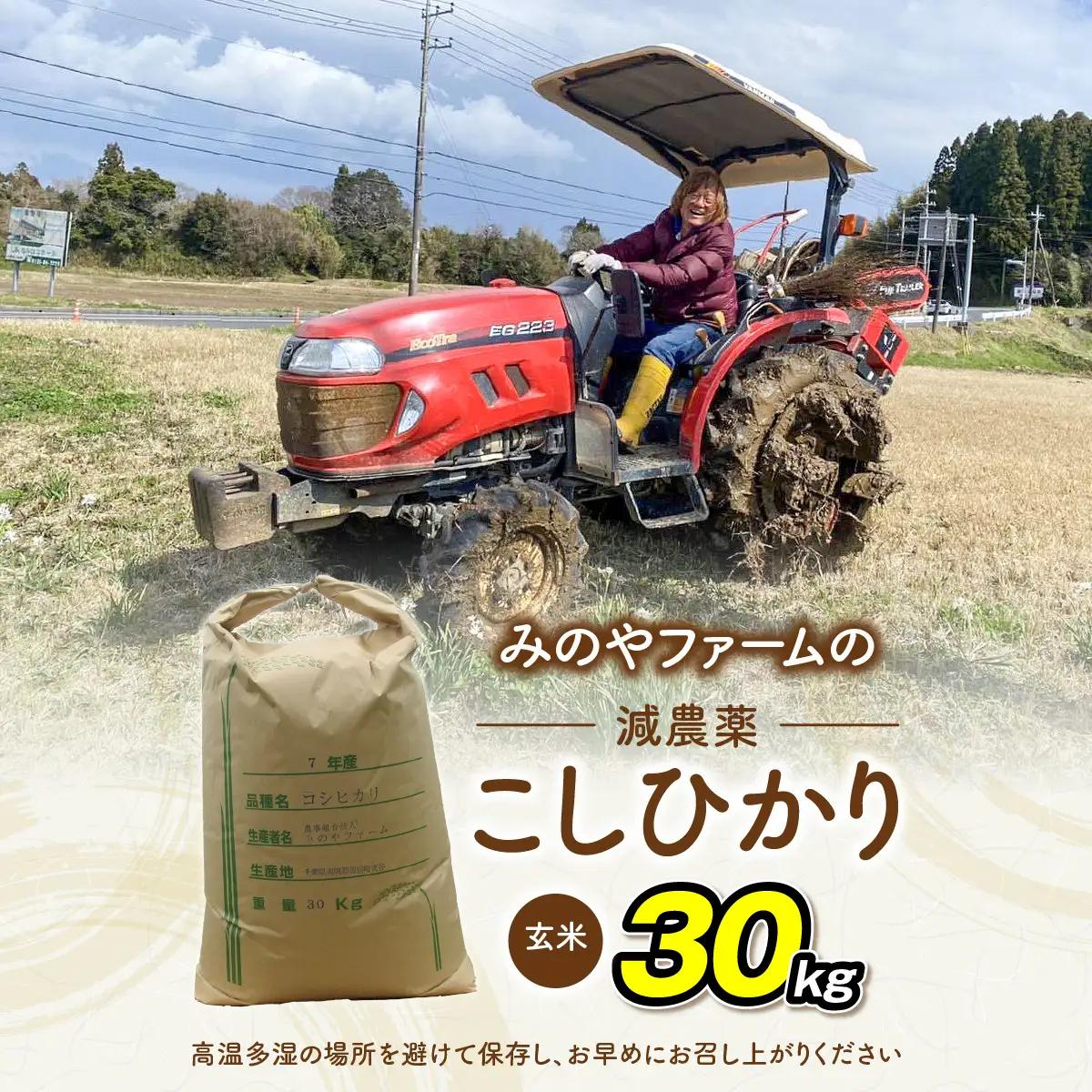 みのやファームの減農薬こしひかり 30kg(玄米) ONJF013