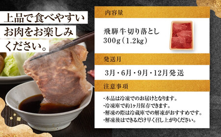 ちょっとリッチな飛騨牛（希少部位）約1.2kg 【3月・6月・9月・12月発送】定期便 4回 | みすじ ウデ すき焼き しゃぶしゃぶ  希少部位 300g 和牛 国産牛 冷凍 飛騨高山 飛騨牛のこも
