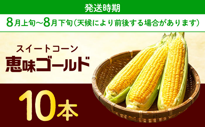 【2026年8月上旬～順次発送】 スイートコーン 恵味ゴールド 10本入 | 北海道産 とうもころし トウモロコシ 野菜 北海道 | JAみねのぶ [BOAG032]