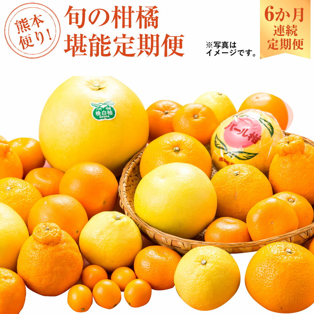 【ふるさと納税】熊本便り！旬の柑橘堪能定期便 晩白柚 完熟みかん キンカン ネーブルオレンジ スイートスプリング はるか パール柑 デコポン デコポンゼリーDX ハウスみかん 果物 フルーツ 柑橘 贈答用 定期便 【2026年1月より6か月連続発送】