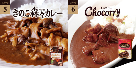 【贅沢カレー！】6種のカレー詰め合わせ レトルト E367