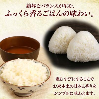 ふるさと納税 彦根市 令和7年産新米コシヒカリ白米無洗米5kg 粘り、甘み、香りの絶妙なバランス |  | 02