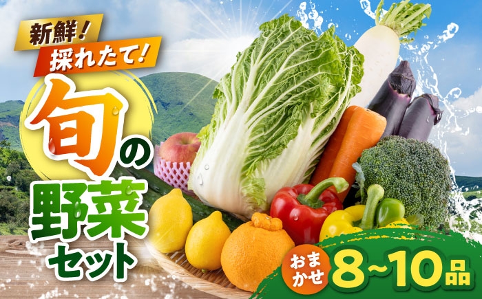 
                  旬の野菜 おまかせ 詰め合わせ セット 8〜10品目 /  やさい 産地直送 野菜 新鮮 詰め合わせ 採れたて 春野菜 夏野菜 秋野菜 冬野菜 旬  熊本 【合志物産販売 志来菜彩】 [AYCA001]
                