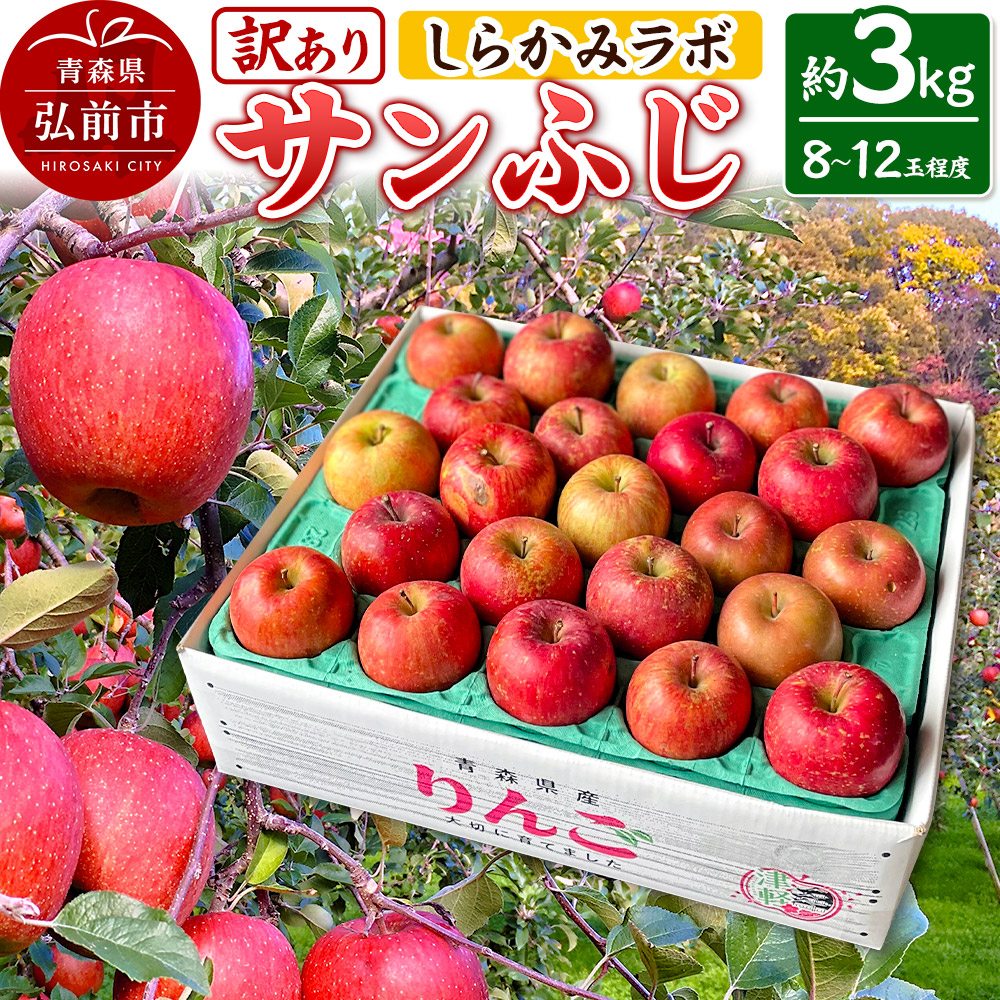 【25年12月～発送】りんご サンふじ【訳あり】約3kg しらかみラボ