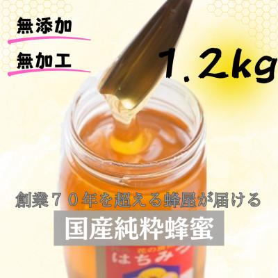 ふるさと納税 館山市 ひふみ養蜂園 菜の花はちみつ 1.2kg
