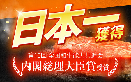 長崎和牛A5ランク極上サーロインスライス（400ｇ）【肉のあいかわ】[OCH017]