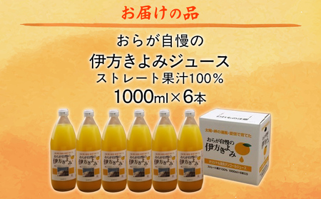 【愛媛県産】おらが自慢の伊方きよみジュース（1000ml×6本） ストレート果汁100％ 【ふるさと納税 人気 おすすめ ランキング みかん ミカン 蜜柑 ジュース みかんジュース ミカンジュース ク