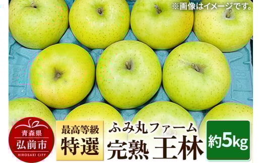 りんご ふみ丸ファーム 最高等級「特選」完熟 王林 約5kg